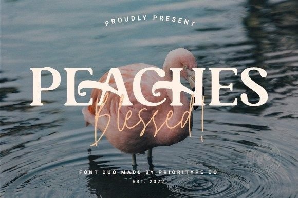 A Designer’s Review of Peaches Blessed Duo: Elevating Campaign Typography