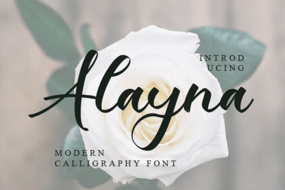 Alayna: A Script Font Built for Digital Brand Identity