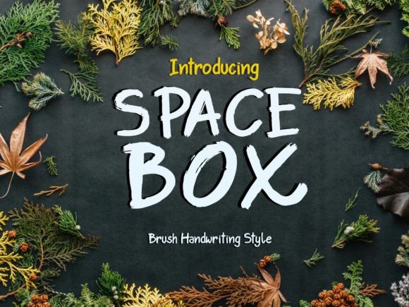 Space Box Font: A Simple Upgrade for Your Brand's Look